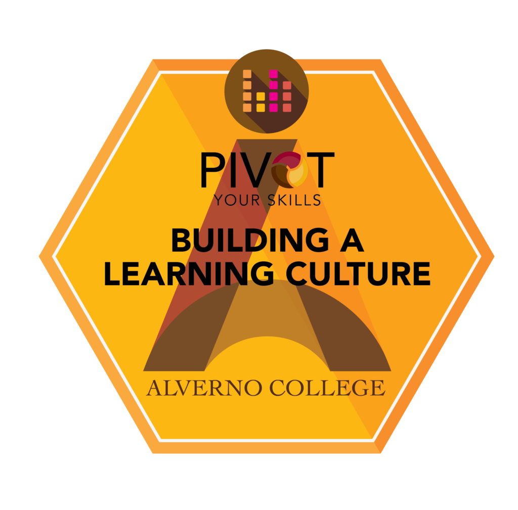 Building a Learning Culture Badge course/badge